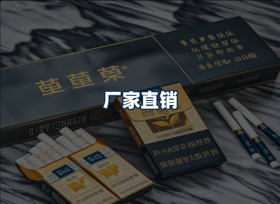 专业团队办公环境